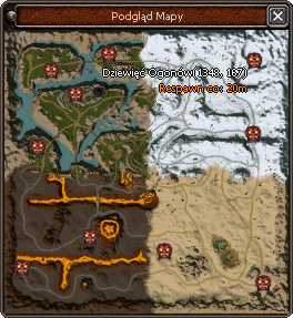 Okno: Podgląd Respów